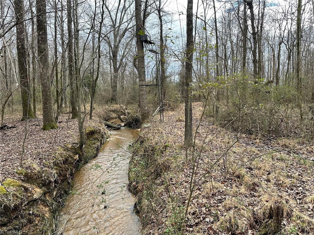 0 Alamance County Line Road Liberty, NC 27298 - Photo 9 of 18 Gallery Image 9