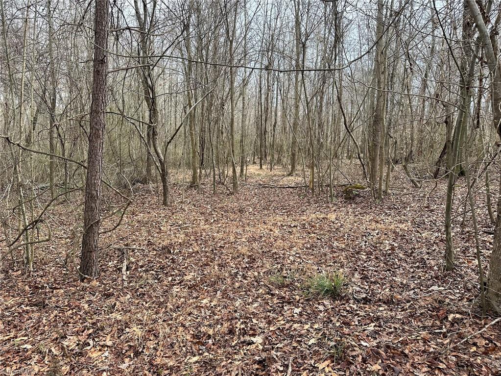 0 Alamance County Line Road Liberty, NC 27298 - Photo 10 of 18 Gallery Image 10