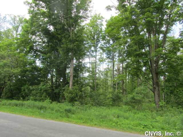 Lot 38 Towne Road Pulaski, NY 13142 - Photo 1 of 1 Exterior Front