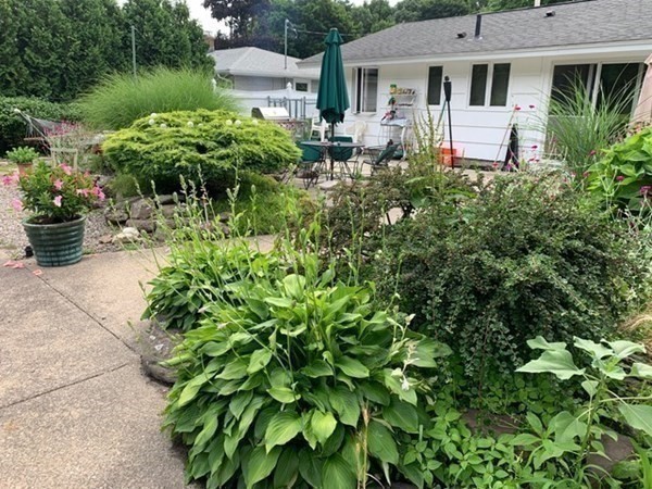 16 Wentworth Road Canton, MA 02021 - Photo 24 of 26 a front view of a house with a yard and potted plants