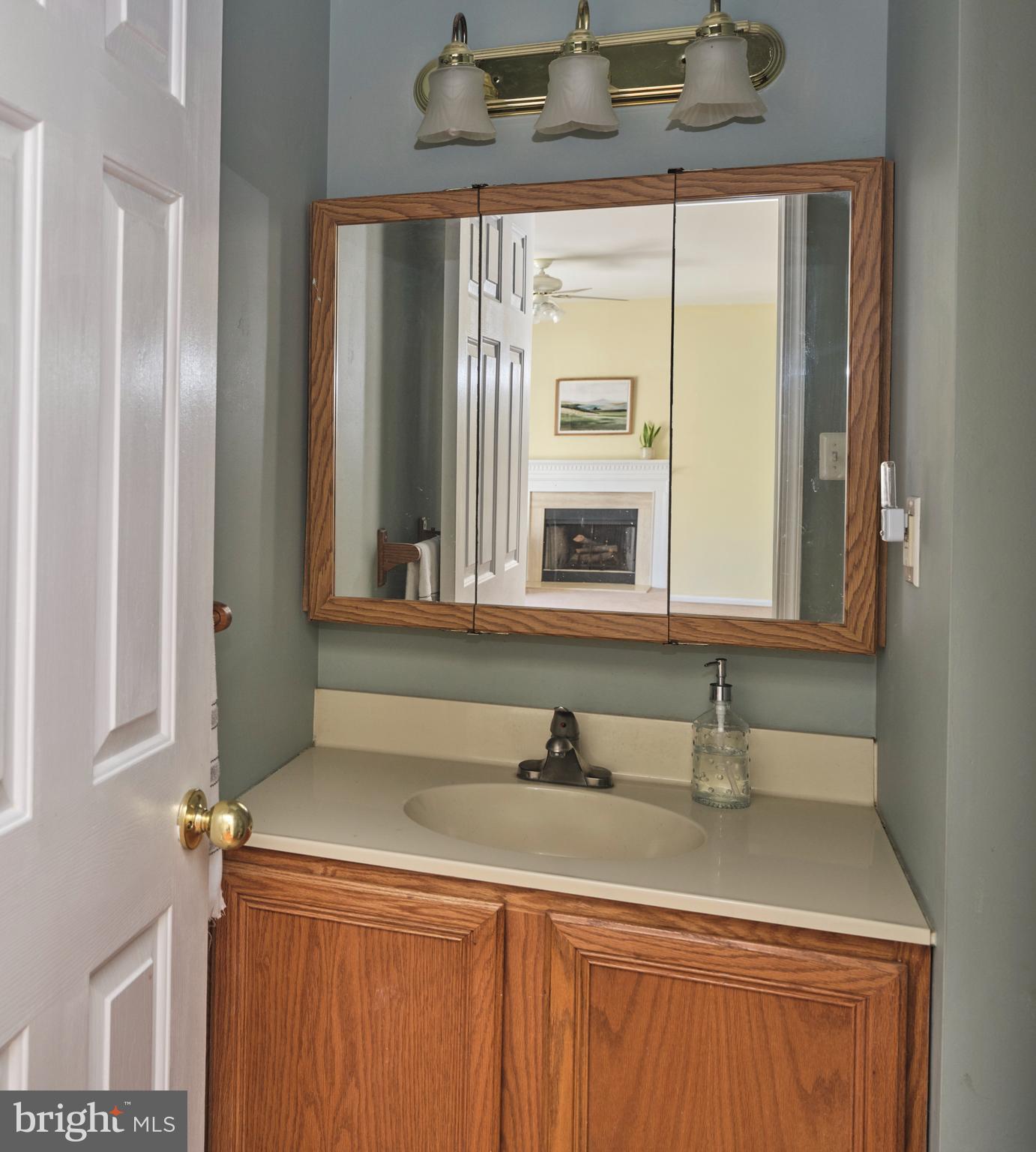 38 Bittersweet Drive Doylestown, PA 18901 - Photo 17 of 36 a bathroom with a sink and a mirror