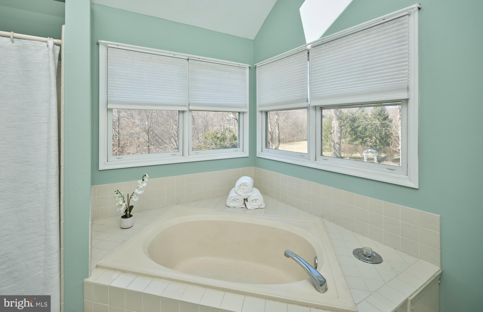 38 Bittersweet Drive Doylestown, PA 18901 - Photo 24 of 36 a bathroom with a tub and a window