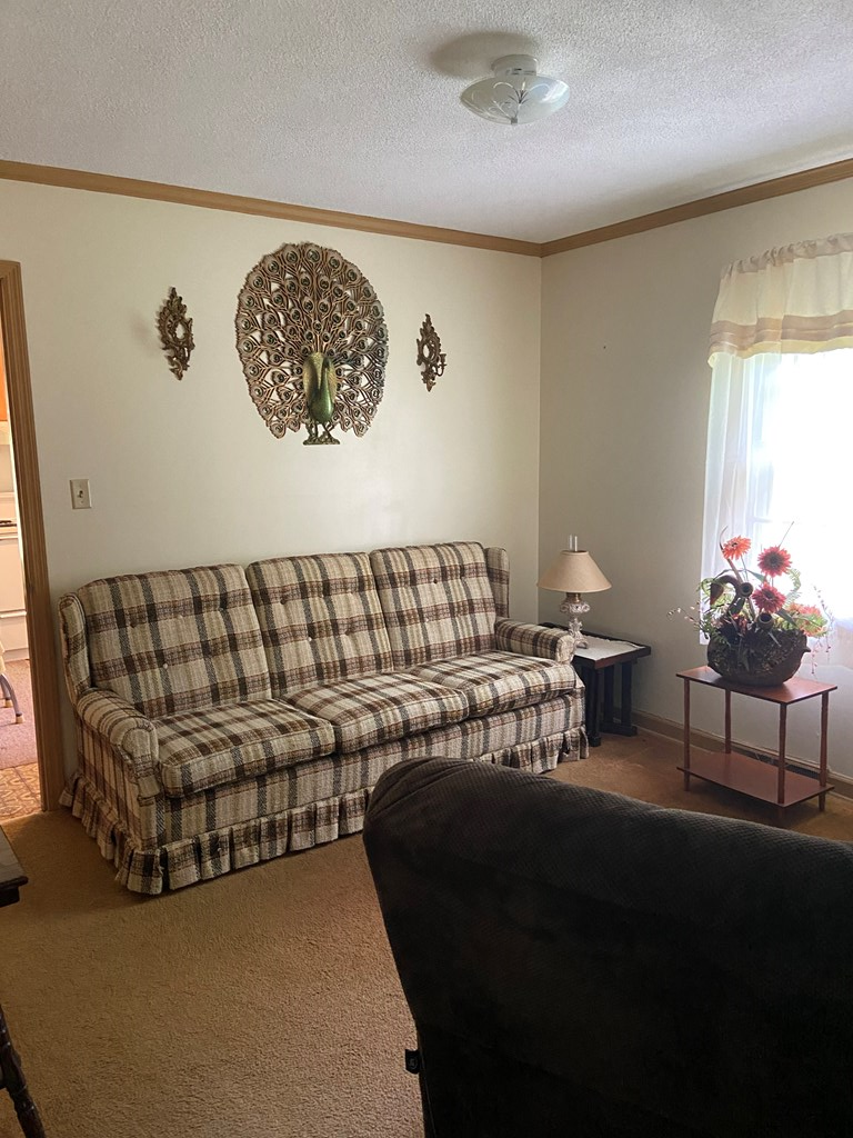 3712 Cokesbury Road Hodges, SC 29653 - Photo 15 of 24