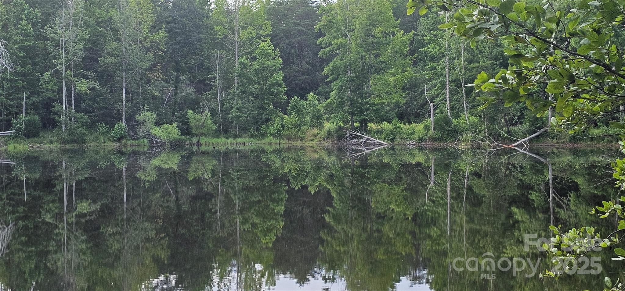 199 Ford Road Ellenboro, NC 28040 - Photo 1 of 12