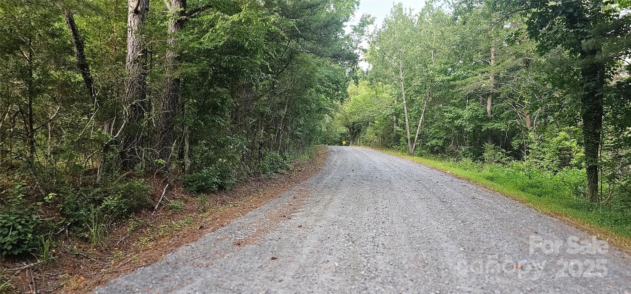 199 Ford Road Ellenboro, NC 28040 - Photo 4 of 12