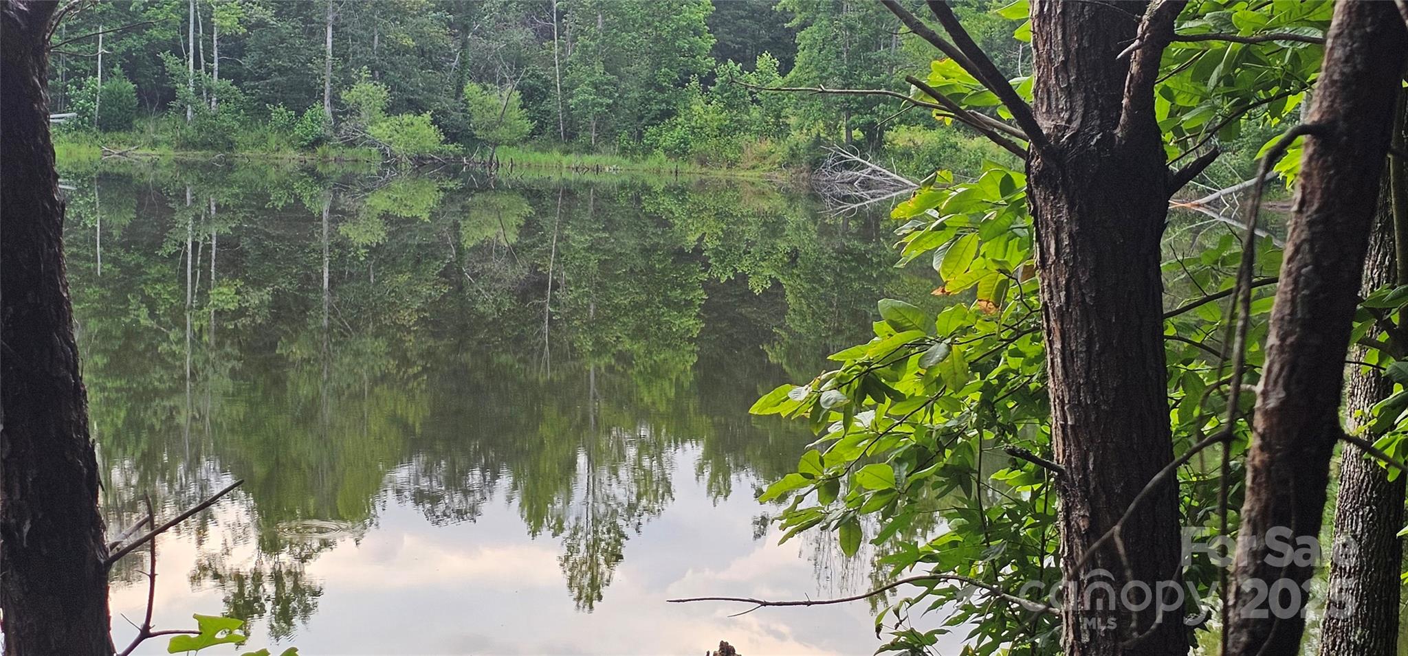 199 Ford Road Ellenboro, NC 28040 - Photo 5 of 12