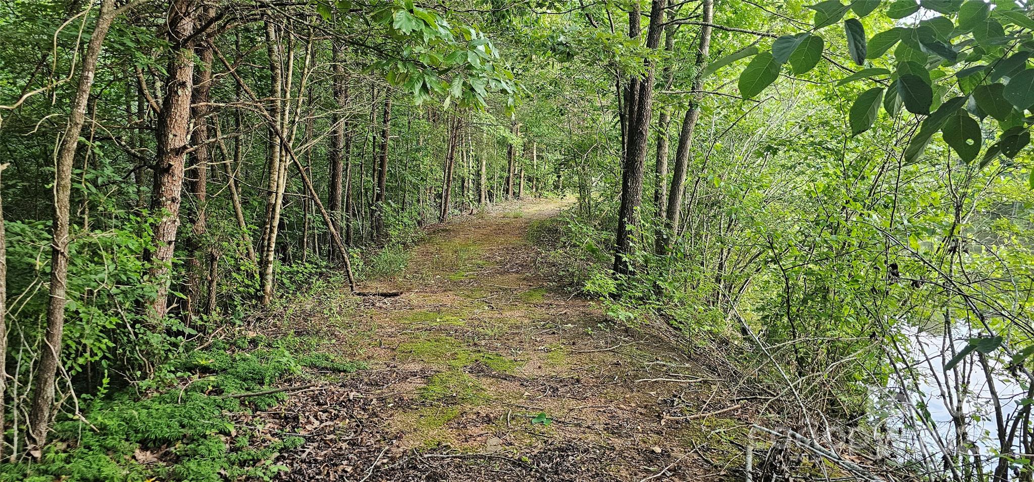 199 Ford Road Ellenboro, NC 28040 - Photo 6 of 12