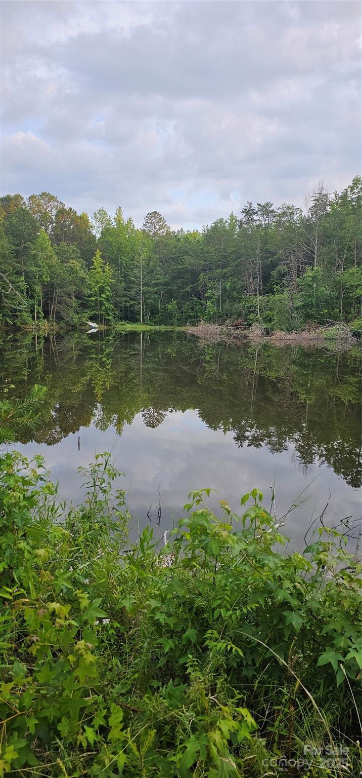 199 Ford Road Ellenboro, NC 28040 - Photo 7 of 12