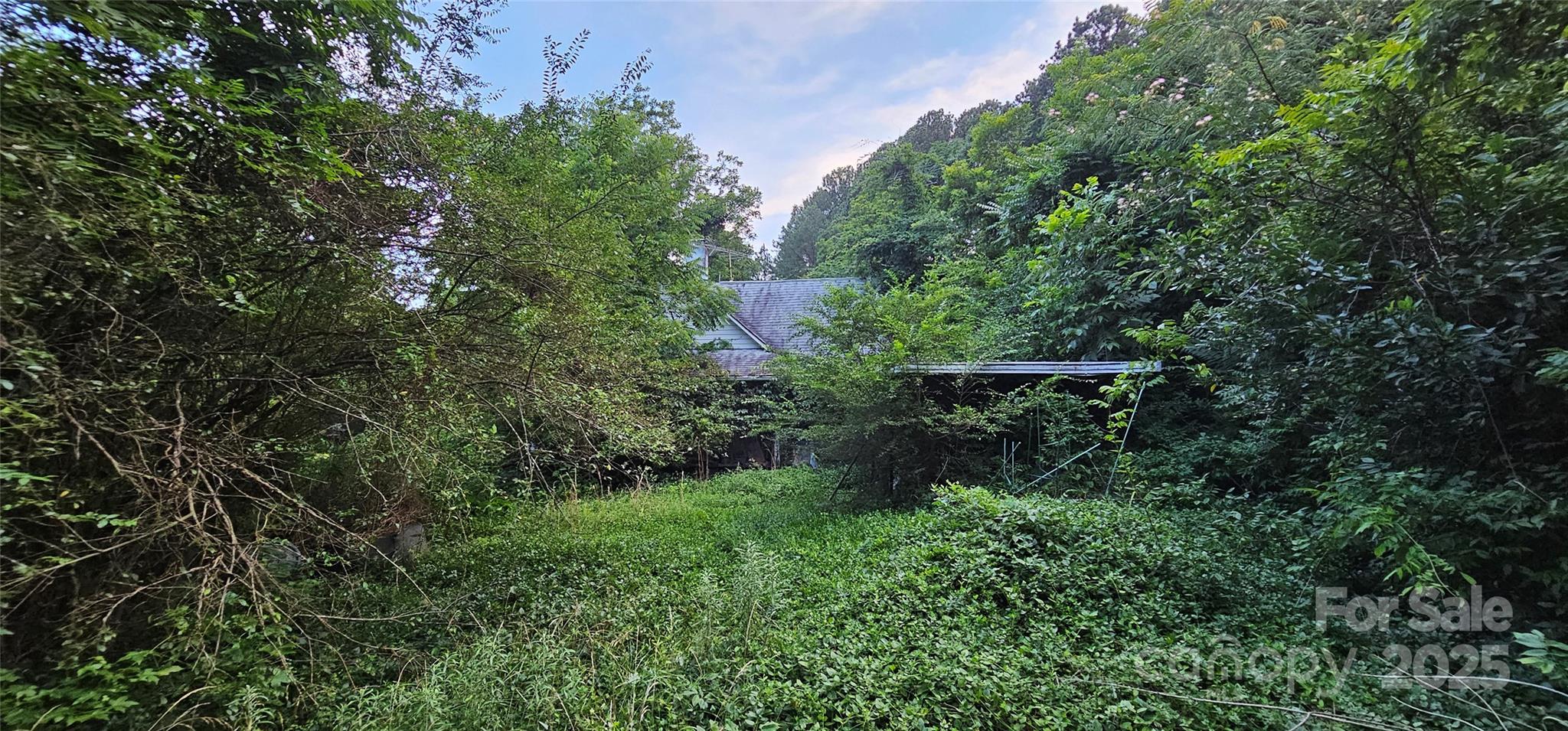 199 Ford Road Ellenboro, NC 28040 - Photo 10 of 12