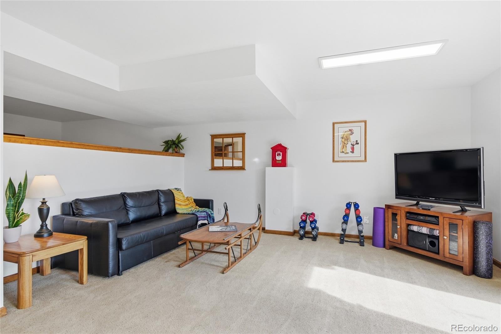 1146 Tapadero Road Bailey, CO 80421 - Photo 18 of 28