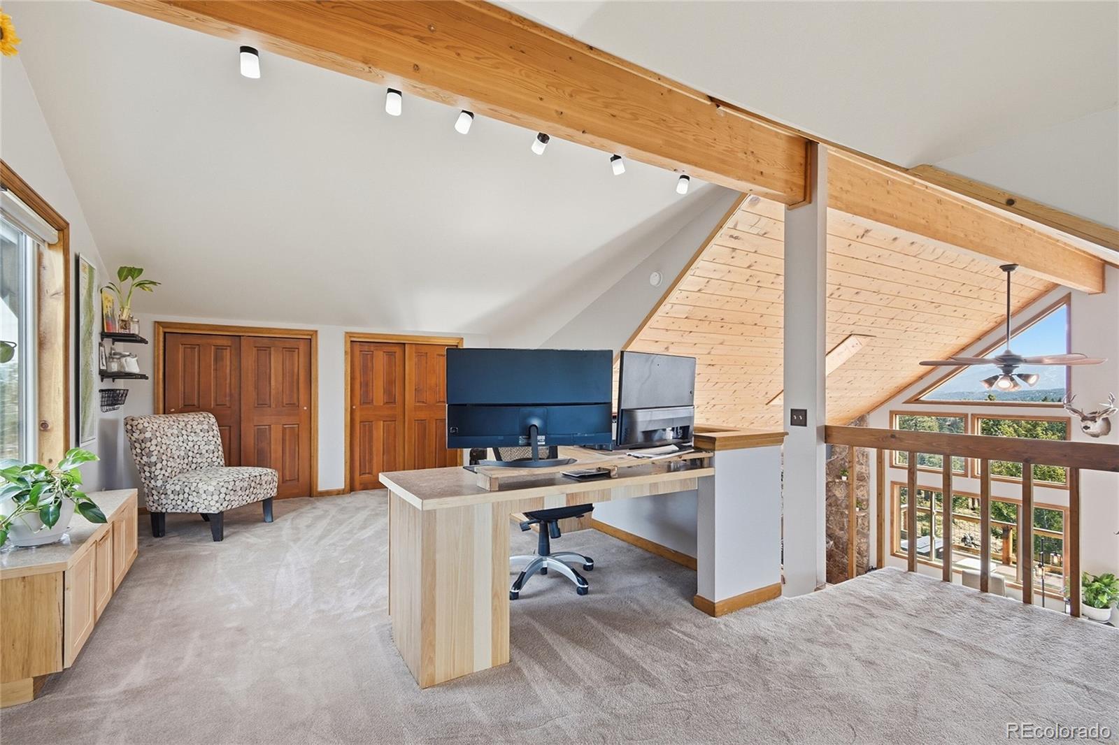 1146 Tapadero Road Bailey, CO 80421 - Photo 22 of 28