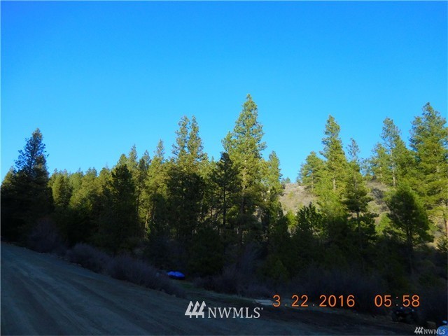 9012 Colockum Road Ellensburg, WA 98926 - Photo 3 of 14 Gallery Image 3