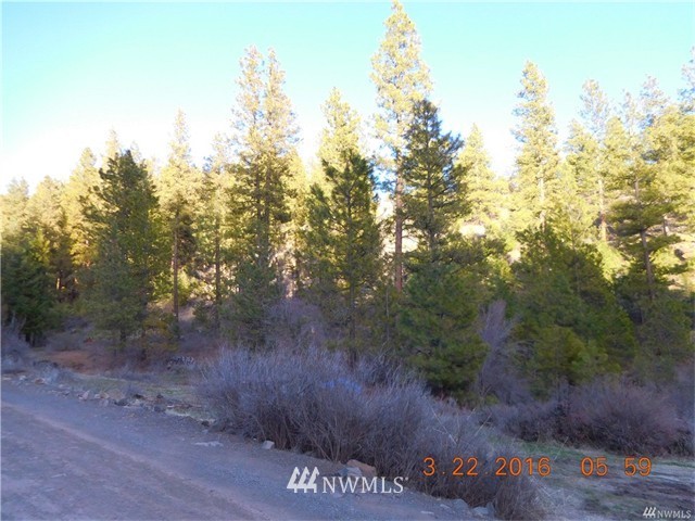 9012 Colockum Road Ellensburg, WA 98926 - Photo 4 of 14 Gallery Image 4