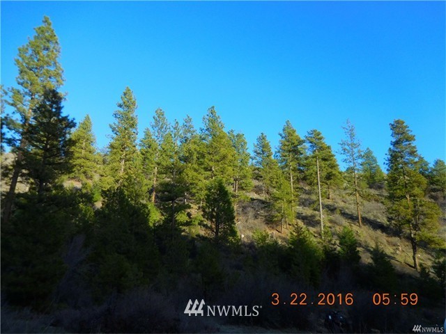 9012 Colockum Road Ellensburg, WA 98926 - Photo 5 of 14 Gallery Image 5