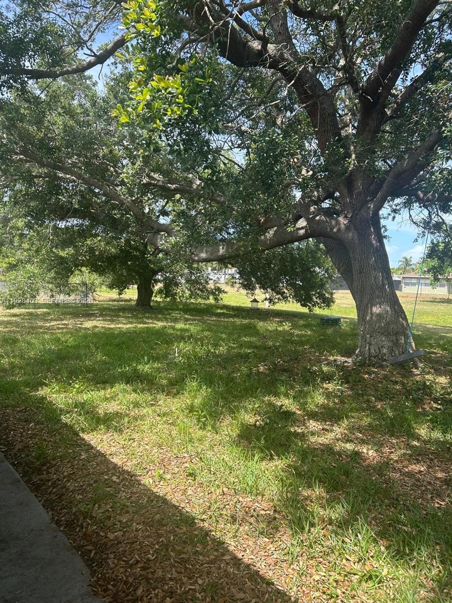 1599 Northeast Cindy Circle, Unit A Palm Bay, FL 32905 - Photo 12 of 13 a yard with swimming pool and green space