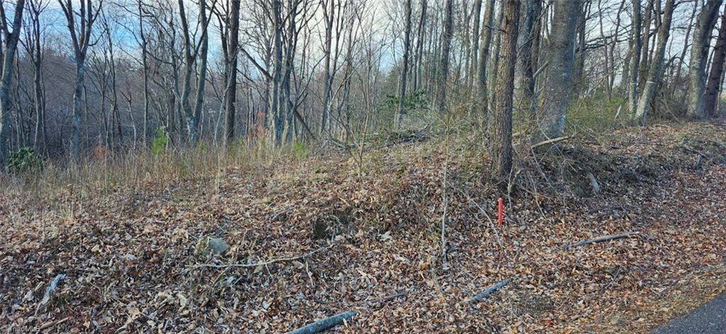 Tbd Tbd Gulch Road, Unit 1 2 3 Meadows Of Dan, VA 24120 - Photo 4 of 8