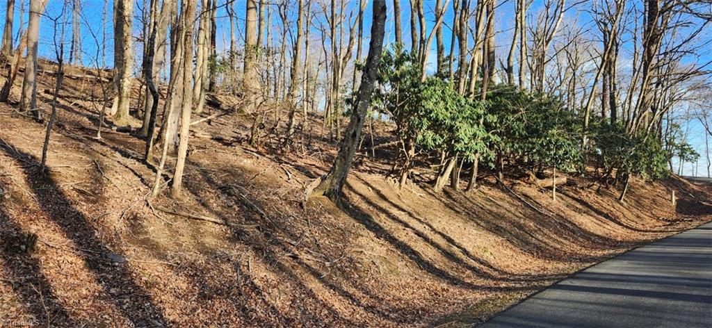 Tbd Tbd Gulch Road, Unit 1 2 3 Meadows Of Dan, VA 24120 - Photo 5 of 8