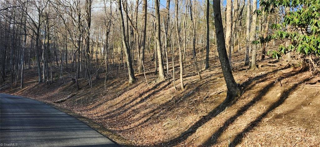 Tbd Tbd Gulch Road, Unit 1 2 3 Meadows Of Dan, VA 24120 - Photo 6 of 8