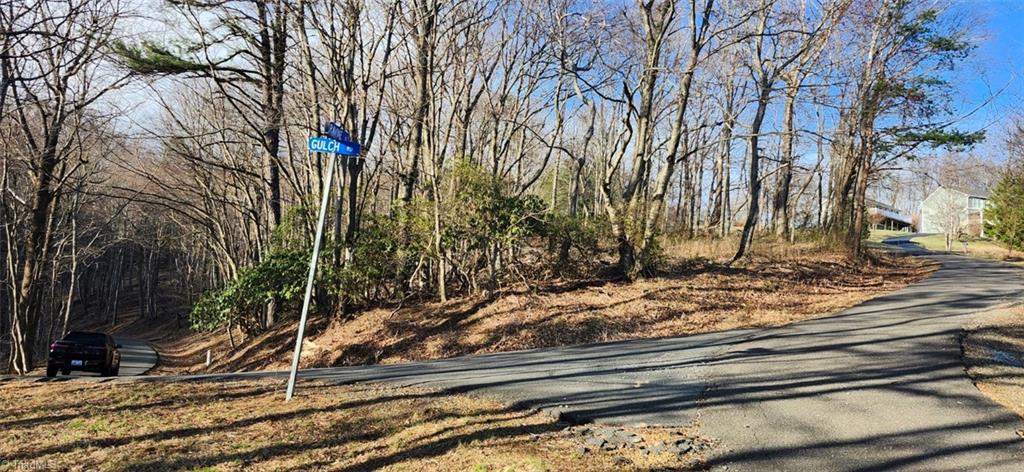 Tbd Tbd Gulch Road, Unit 1 2 3 Meadows Of Dan, VA 24120 - Photo 7 of 8