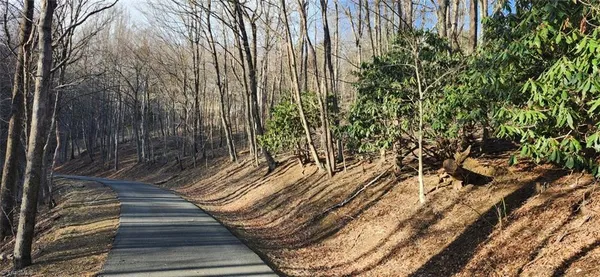 $26,900 | Tbd Tbd Gulch Road, Unit 1 2 3, Meadows Of Dan, VA 24120