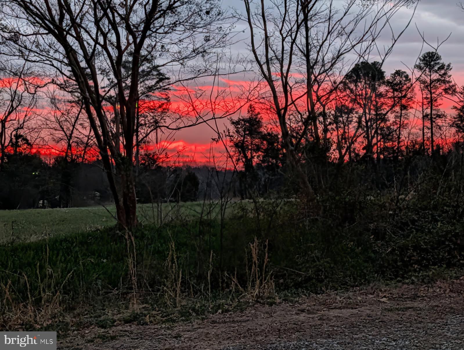 306 Jones Creek Road Warsaw, VA 22572 - Photo 39 of 40 Beautiful sunrises