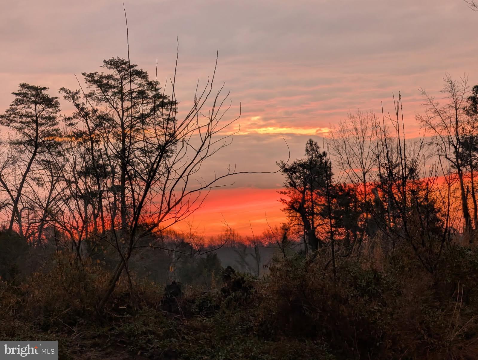 306 Jones Creek Road Warsaw, VA 22572 - Photo 40 of 40