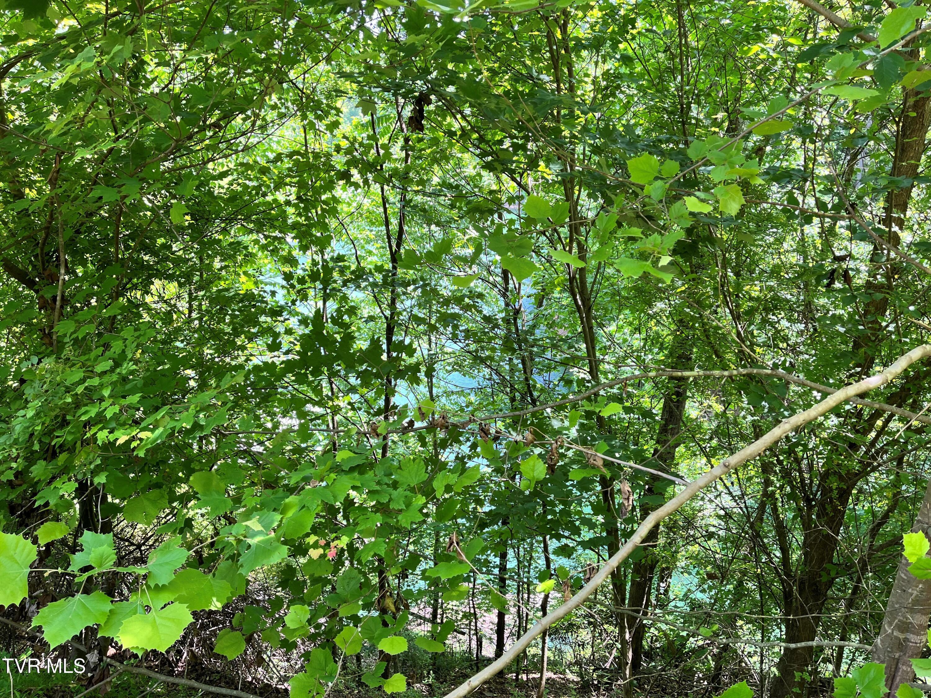 Tr1 Smith Hollow Road, Unit 1 3 3A 4 Butler, TN 37640 - Photo 15 of 37 jh12