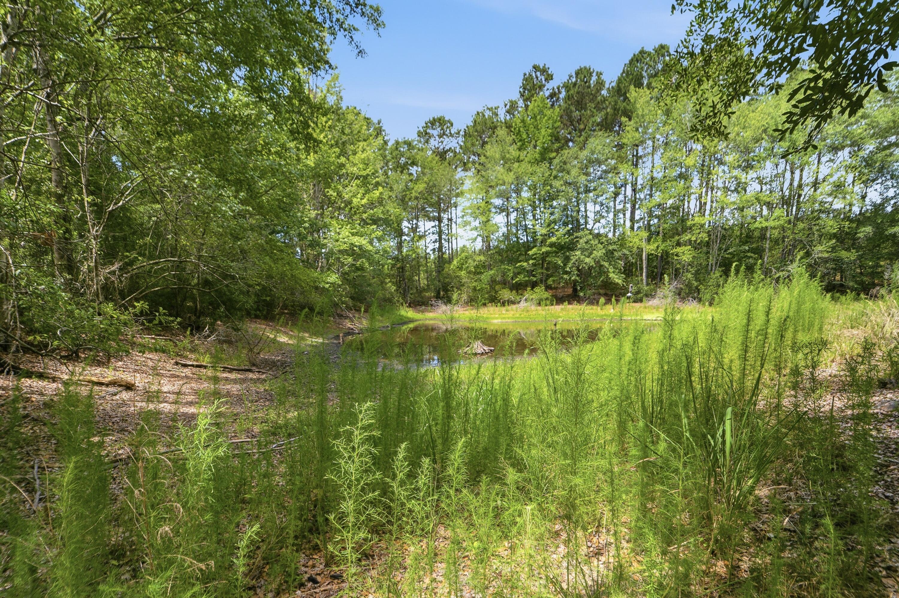 1530 Catfish Lane Manning, SC 29102 - Photo 28 of 37 wooded lot