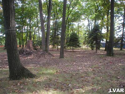3396 Golden Key Road New Tripoli, PA 18066 - Photo 4 of 9 Gallery Image 4