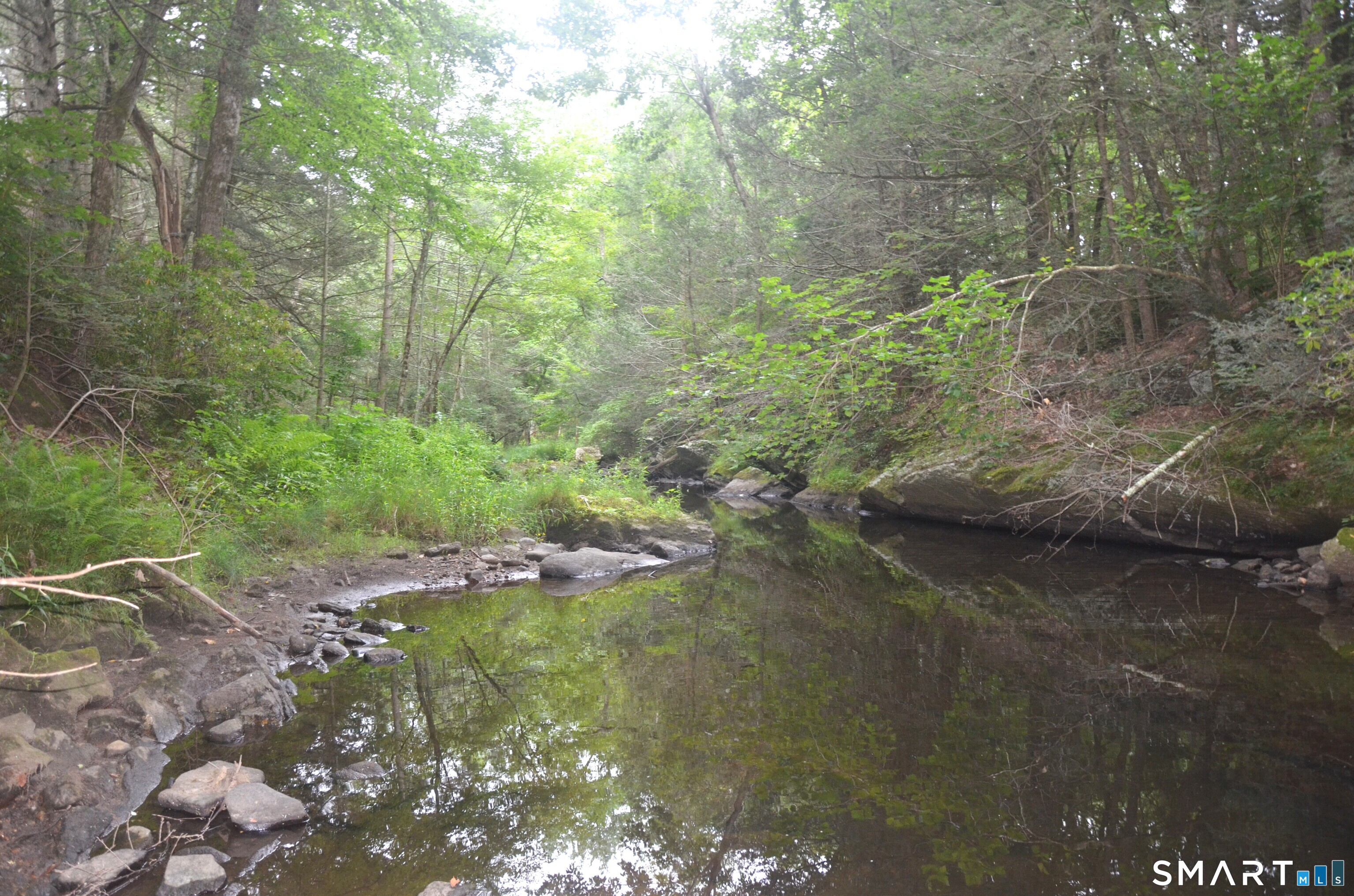 24 Wright Road Canton, CT 06019 - Photo 38 of 40 The perfect place to spend the morning fishing!
