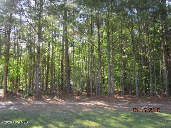 $10,000 | 47 Boshers Point Drive, Hertford, NC 27944