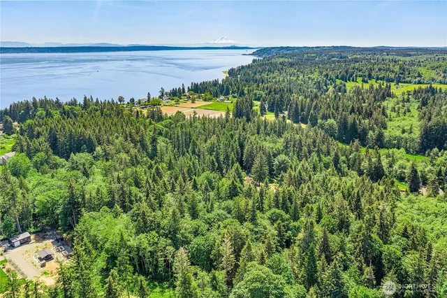 a view of a lake with a garden