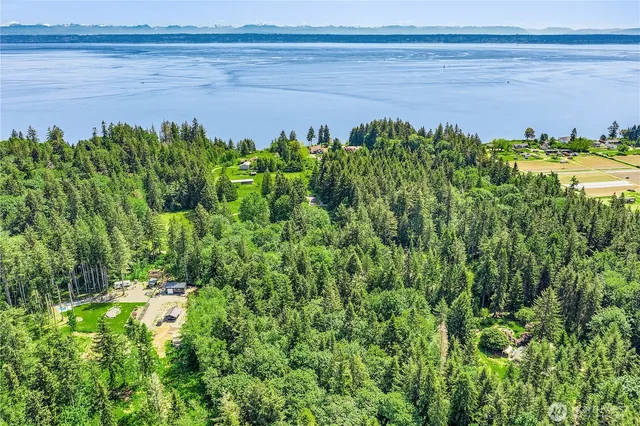 a view of yard with green space