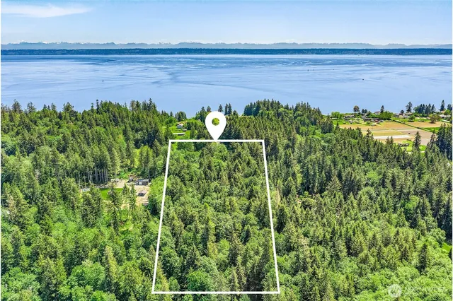 a close up of a green yard with plants