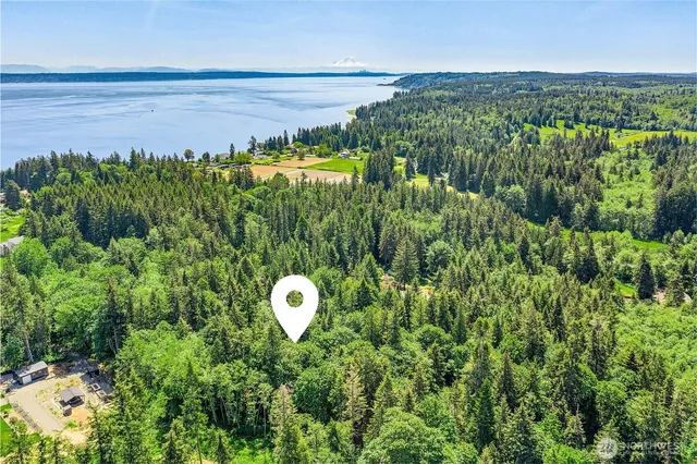 a view of a back yard of a house with a lake view