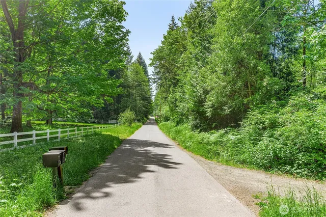 a view of a park with a bench and trees