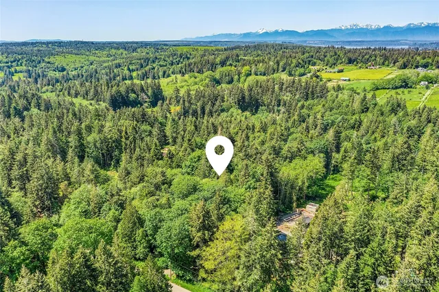 a view of a lush green forest with trees and a houses