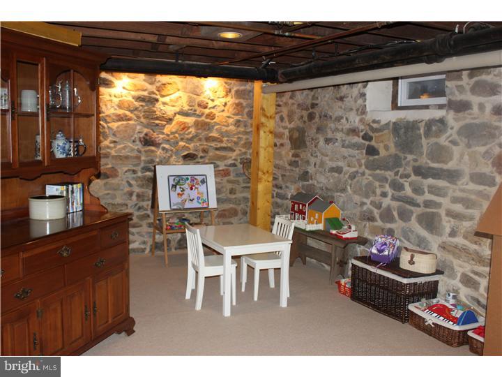 17 Wistar Road Paoli, PA 19301 - Photo 12 of 17 Basement - Finished