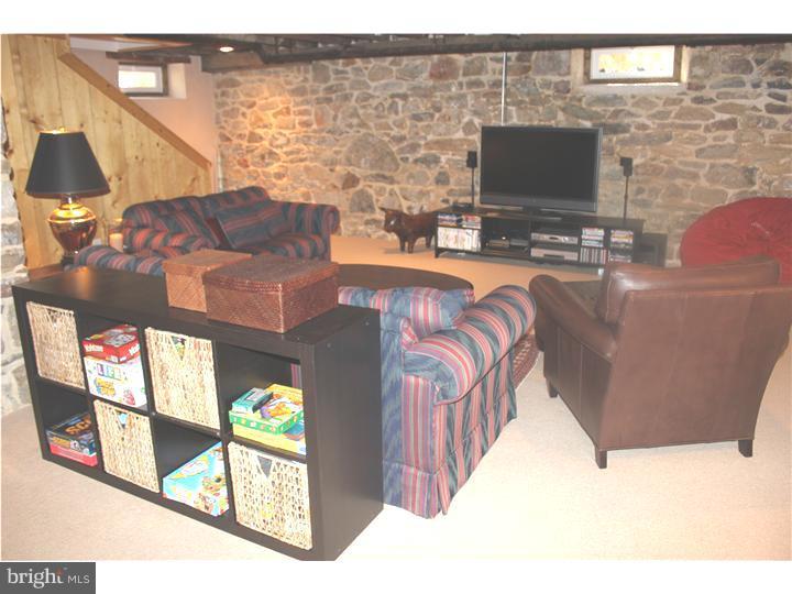 17 Wistar Road Paoli, PA 19301 - Photo 13 of 17 Basement - Finished