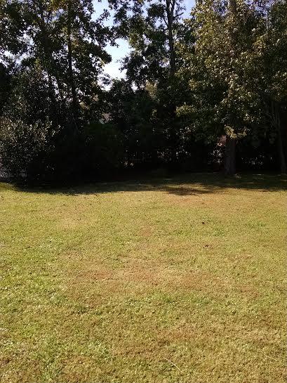 115 Ruffin Road Summerville, SC 29486 - Photo 18 of 27 12