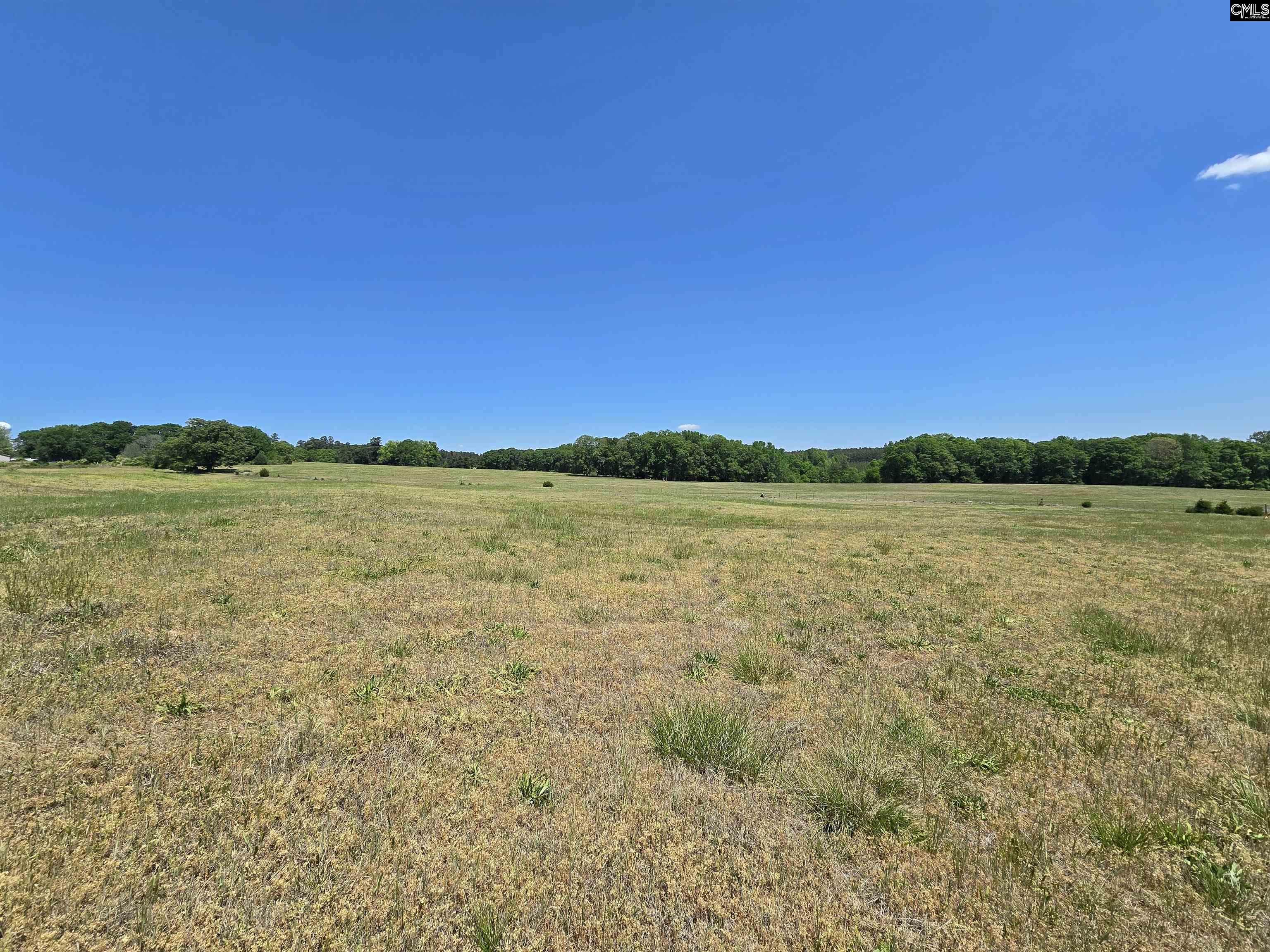 542 Pea Ridge Highway Jonesville, SC 29353 - Photo 28 of 72