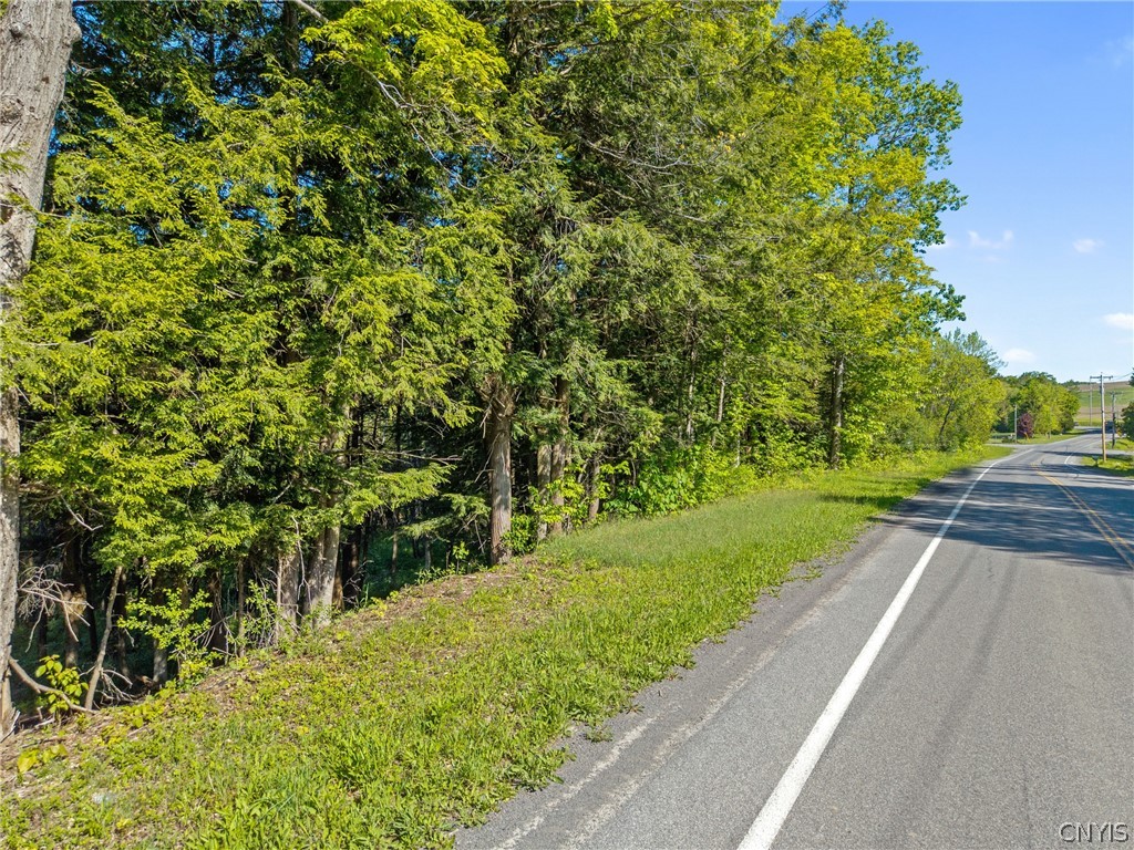 Nelson Road Cazenovia, NY 13035 - Photo 3 of 15