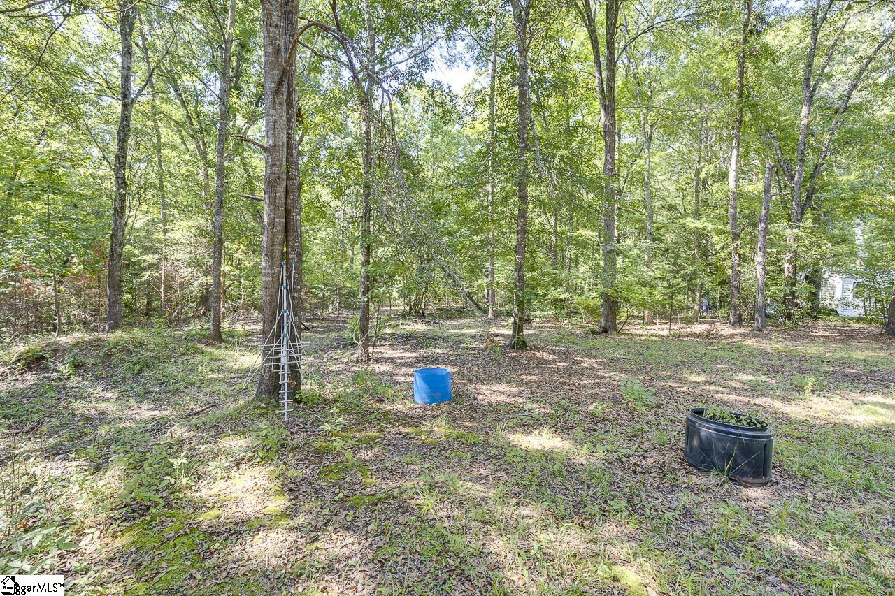 121 Lombarley Road Gray Court, SC 29645 - Photo 3 of 26