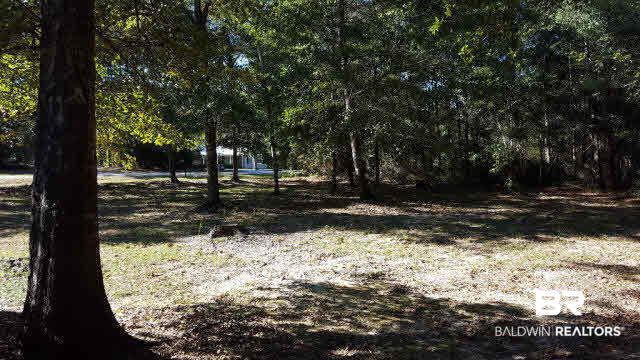 14610 Rdg Road East Summerdale, AL 36580 - Photo 4 of 19 Yard View