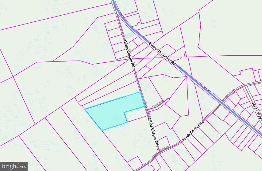 Gibbs Chapel Road Road Hartly, DE 19953 - Photo 1 of 1 Gallery Image 1