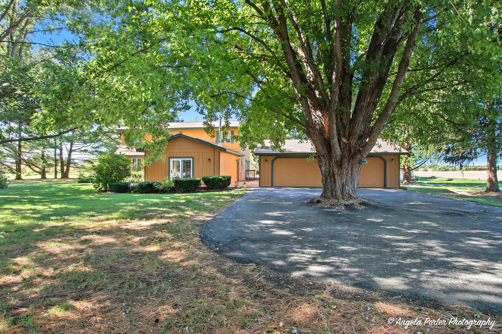 15758 Boone Mc Henry County Line Road Capron, IL 61012 - Photo 37 of 39 a house view with a backyard space