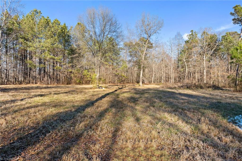 1126 Browns Crossroads Road Staley, NC 27355 - Photo 40 of 47
