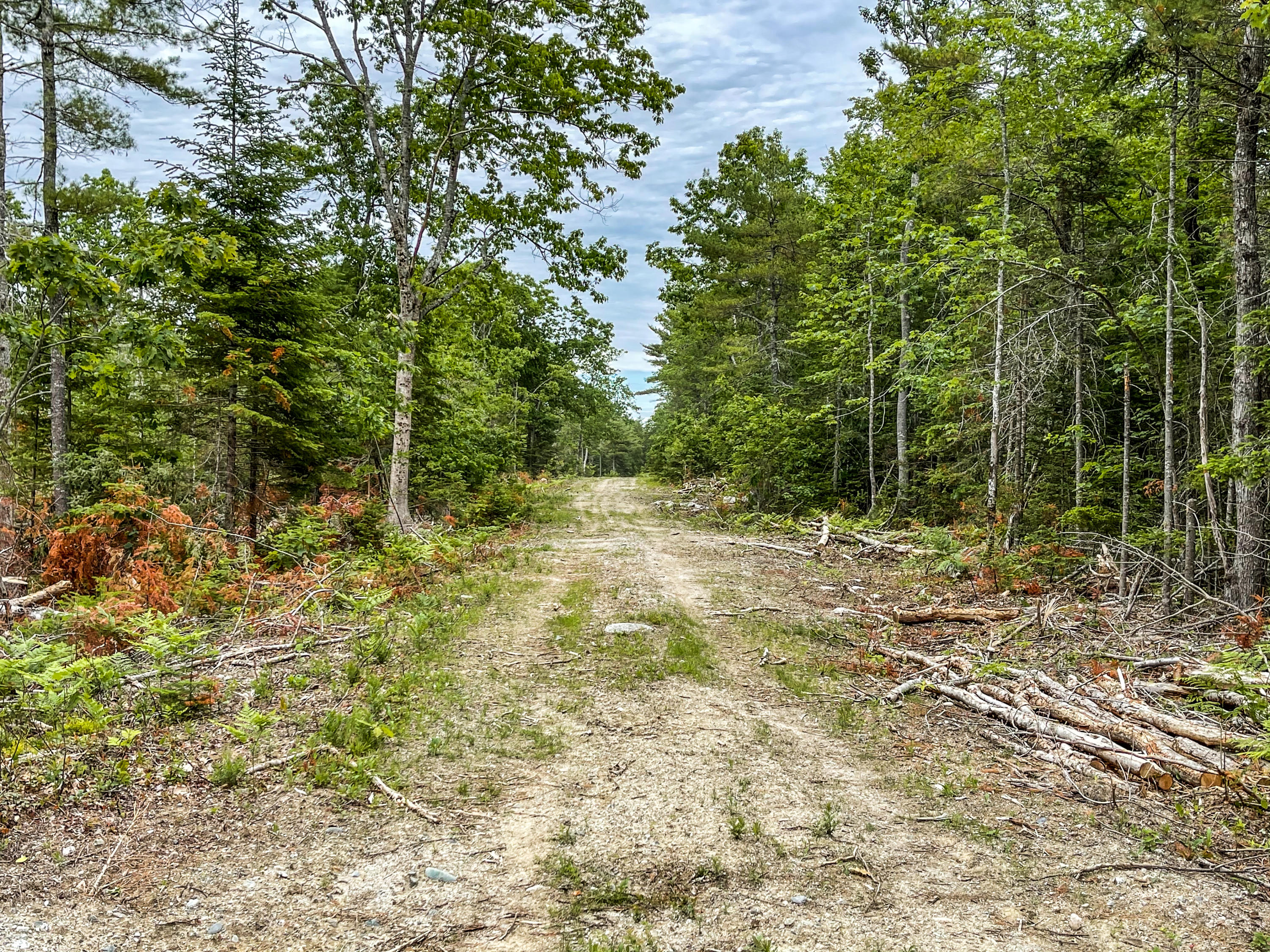 Lot 16 Granite Rock Circle Road Surry, ME 04684 - Photo 4 of 4 JC-4