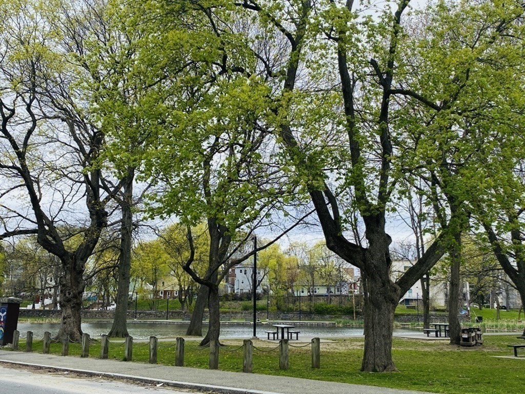 20 Crystal Street, Unit 1 Worcester, MA 01603 - Photo 15 of 19