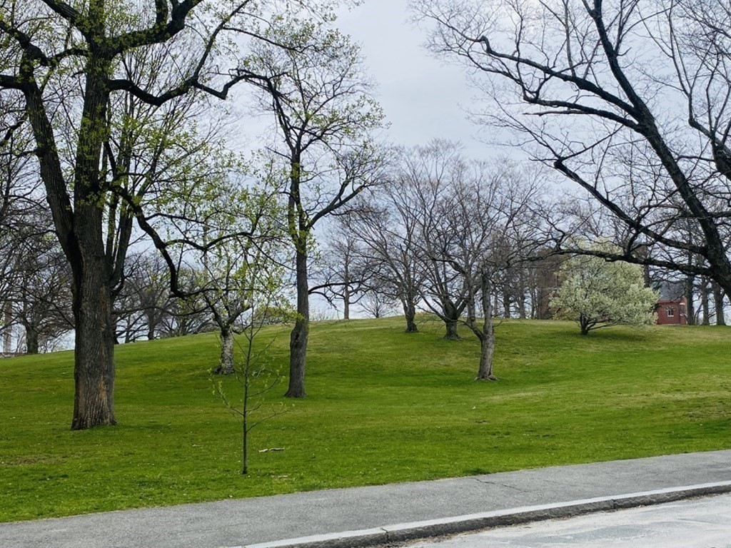 20 Crystal Street, Unit 1 Worcester, MA 01603 - Photo 16 of 19